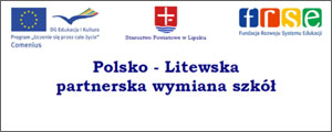 polsko-litewska